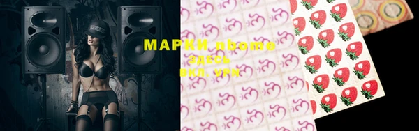 ECSTASY Покачи